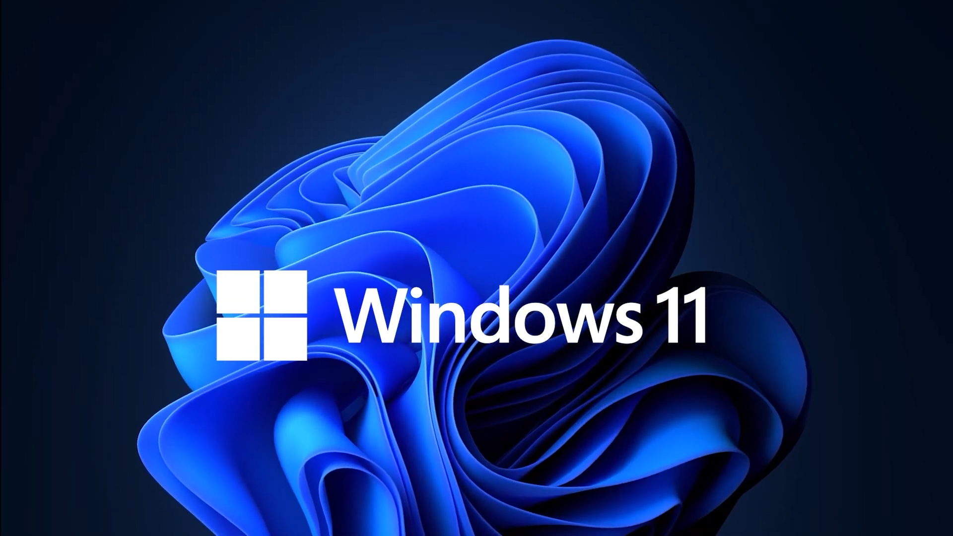 Windows 11