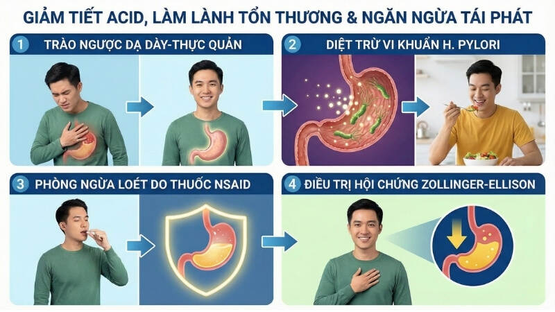 C&ocirc;ng dụng (chỉ định) của thuốc Stadnex 40 CAP