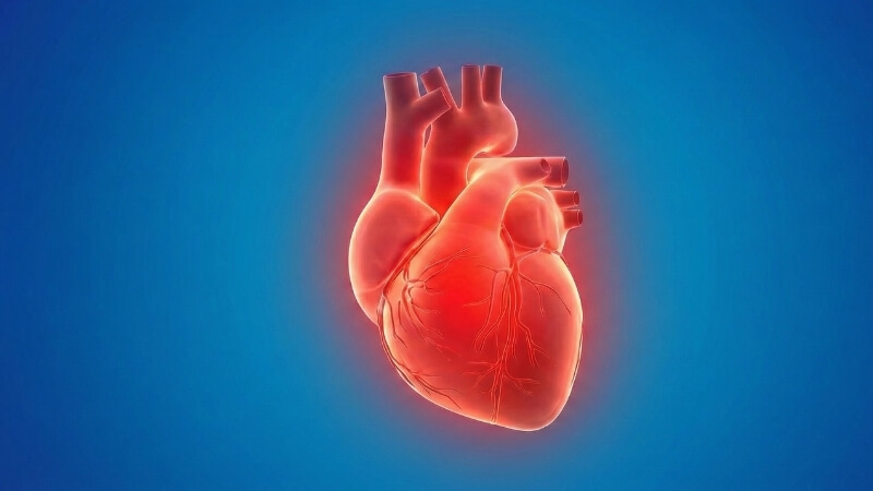 Lưu &yacute; khi d&ugrave;ng valiera 2mg cho người nguy cơ tim mạch