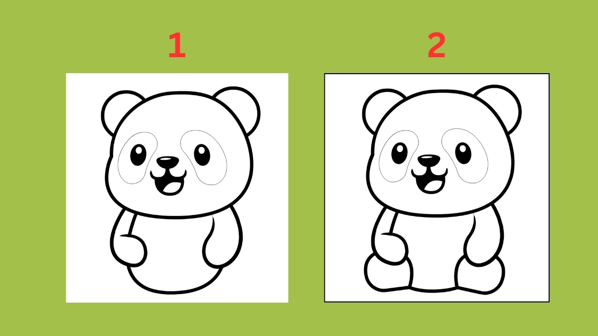 Vẽ chân và tay con gấu