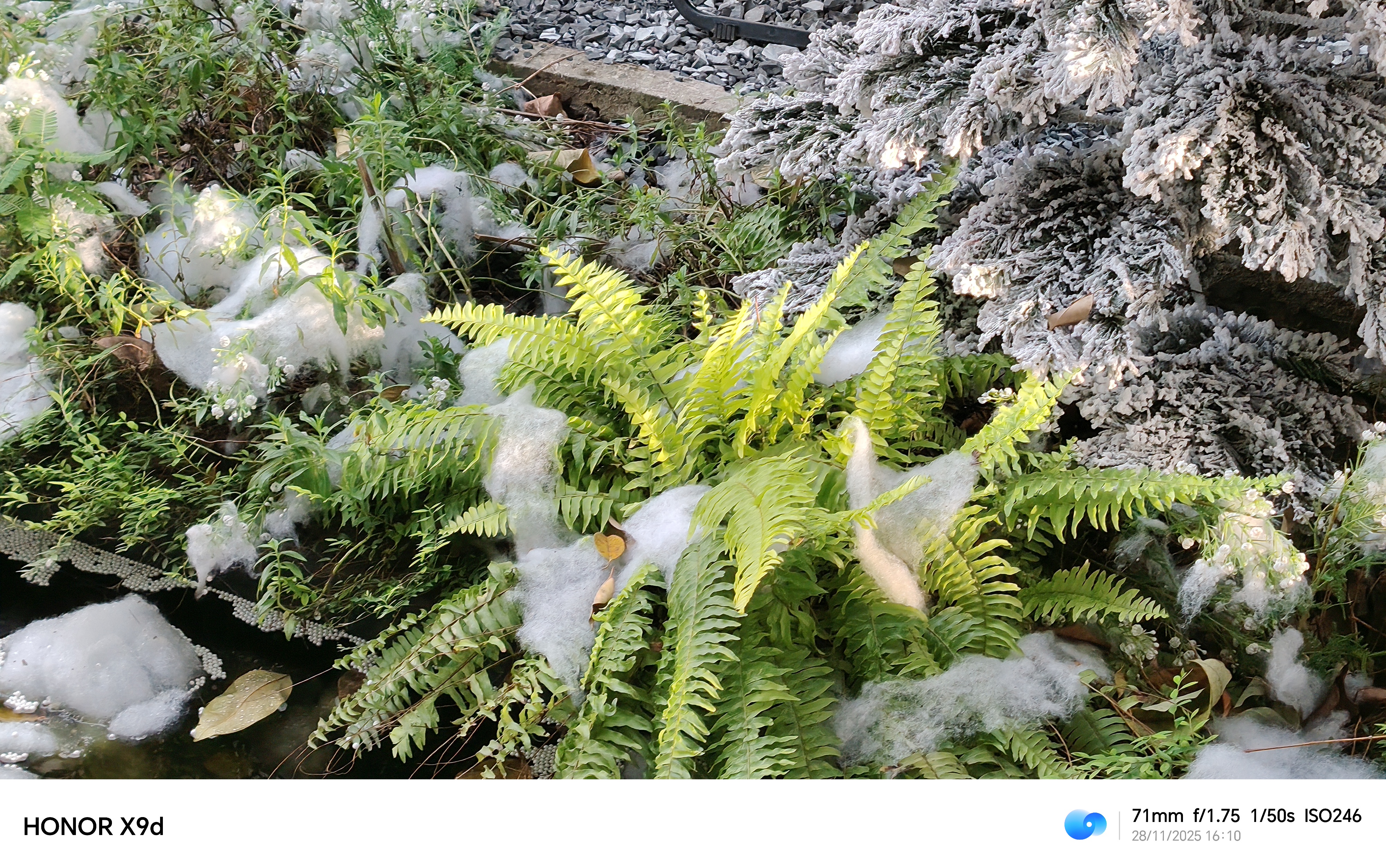 Đánh Giá Honor X9D Sau 1 Tuần Sử Dụng: