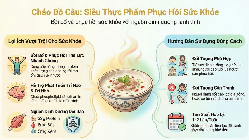 Infographic - Cháo bồ câu: Thực phẩm hỗ trợ phục hồi sức khoẻ Infographic - Cháo bồ câu: Thực phẩm hỗ trợ phục hồi sức khoẻ
