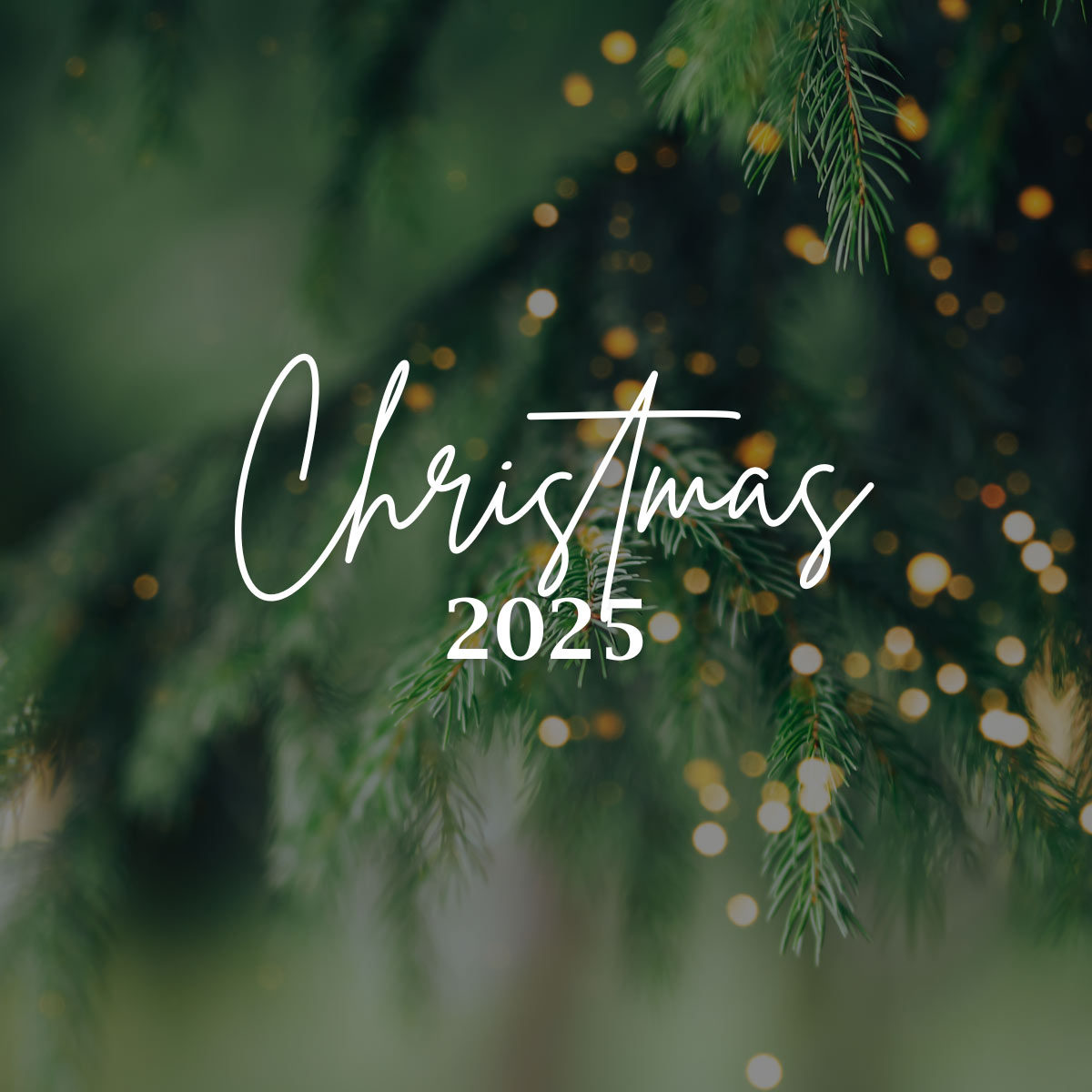 Hình ảnh Giáng sinh 2025 mang màu sắc truyền thống ấm áp