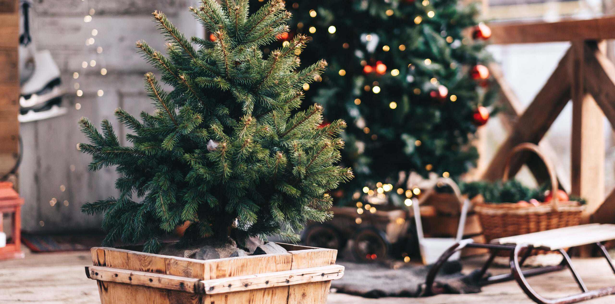 Trải nghiệm hình ảnh 4K sắc nét cho mùa lễ hội