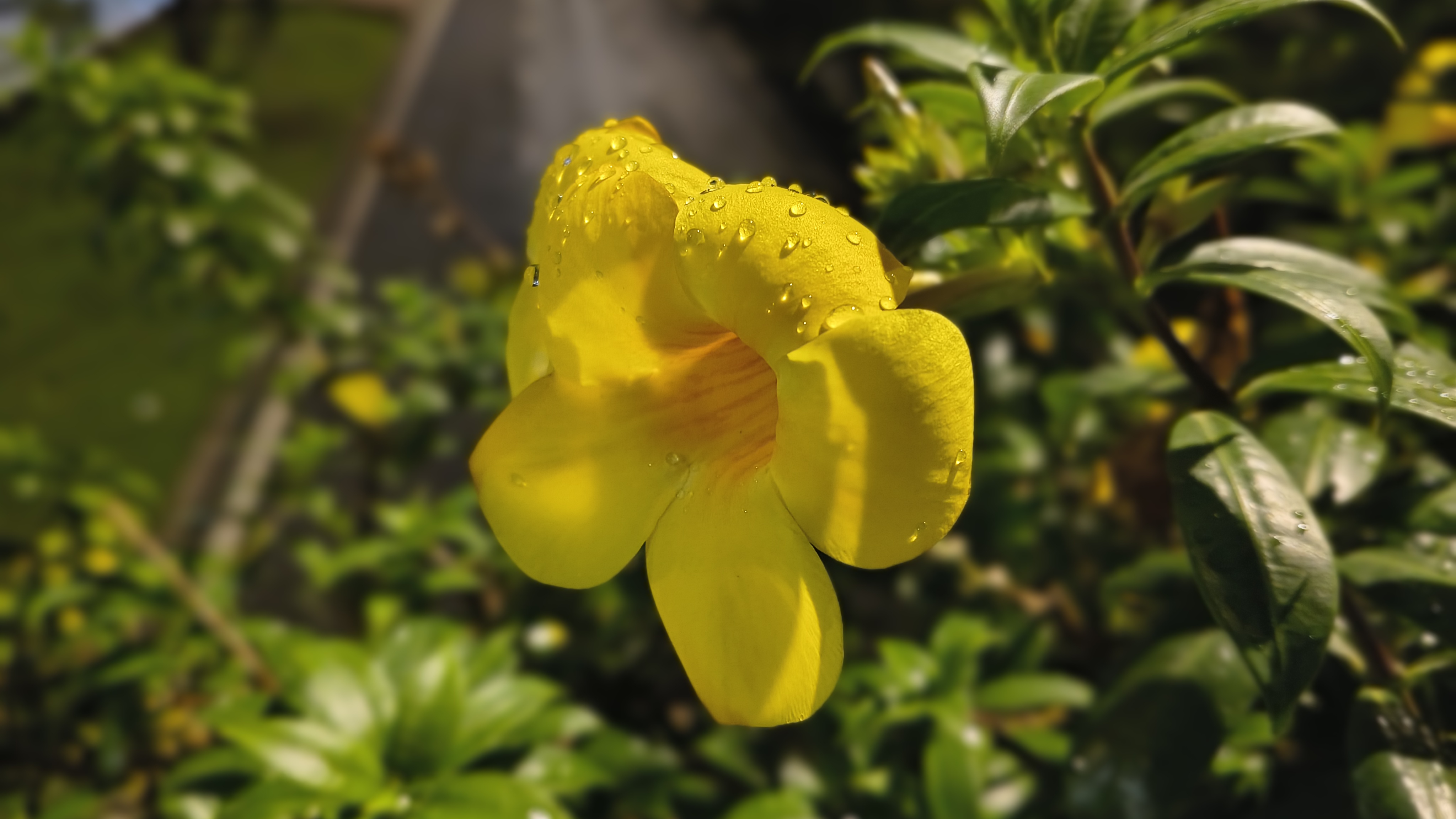 Đánh giá Motorola G86 Power 5G