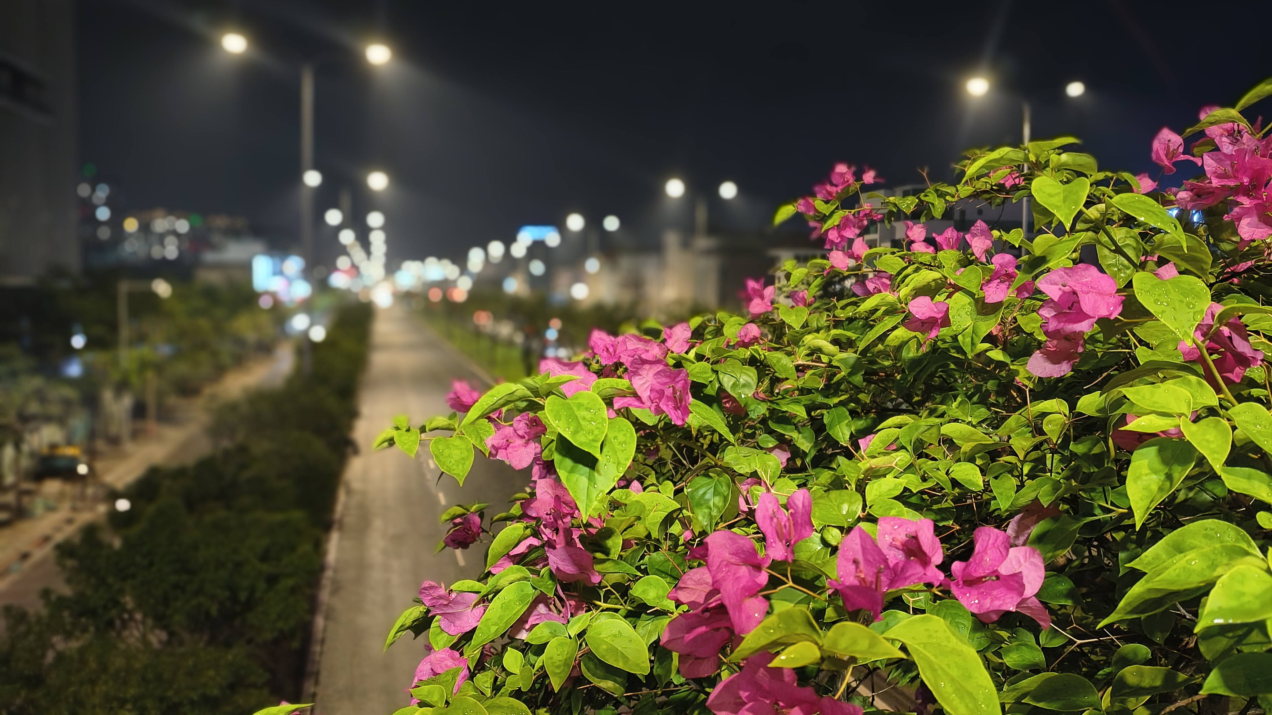 Đánh giá Motorola G86 Power 5G