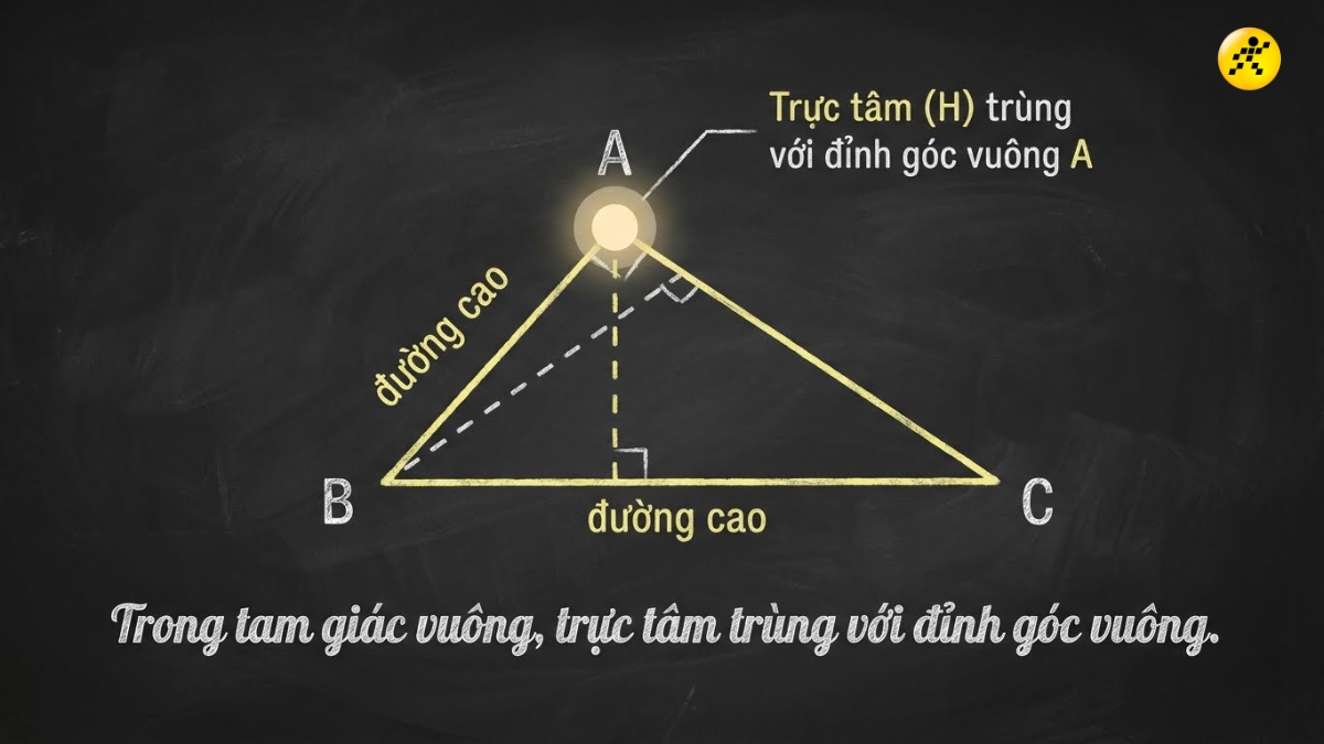 Đối với tam gi&aacute;c vu&ocirc;ng trực t&acirc;m tr&ugrave;ng với đỉnh g&oacute;c vu&ocirc;ng