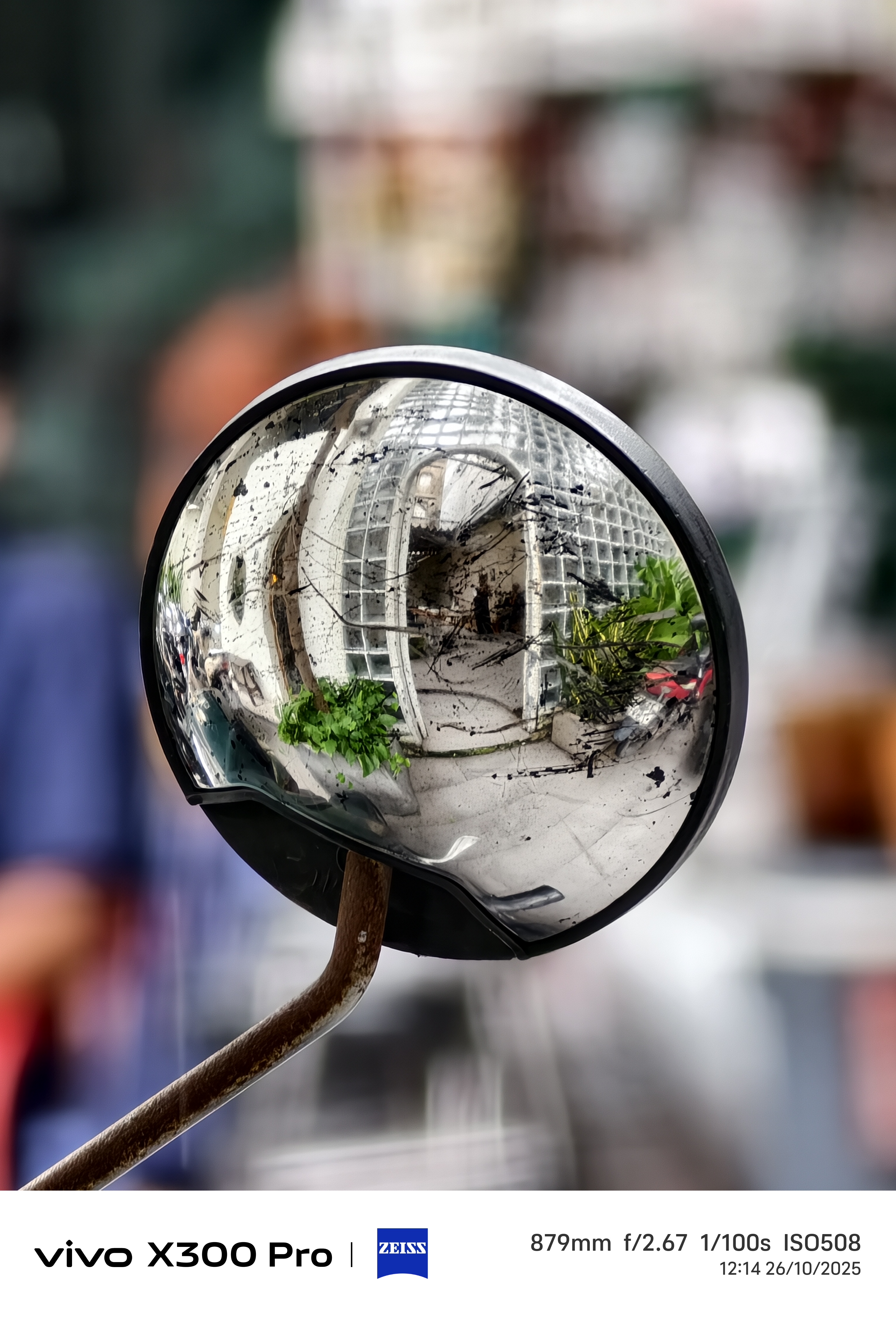 Cùng Mình Đánh Giá Vivo X300 Pro Qua Bài Viết Dưới Đây Nhé!