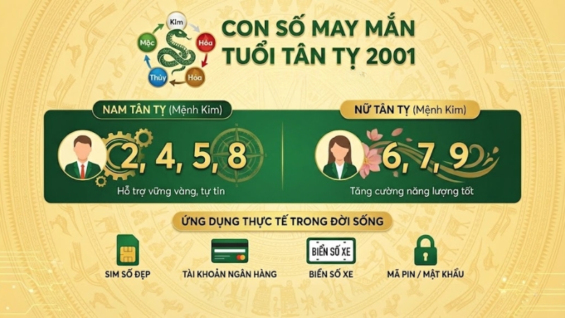 Con số may mắn của tuổi Tỵ 2001