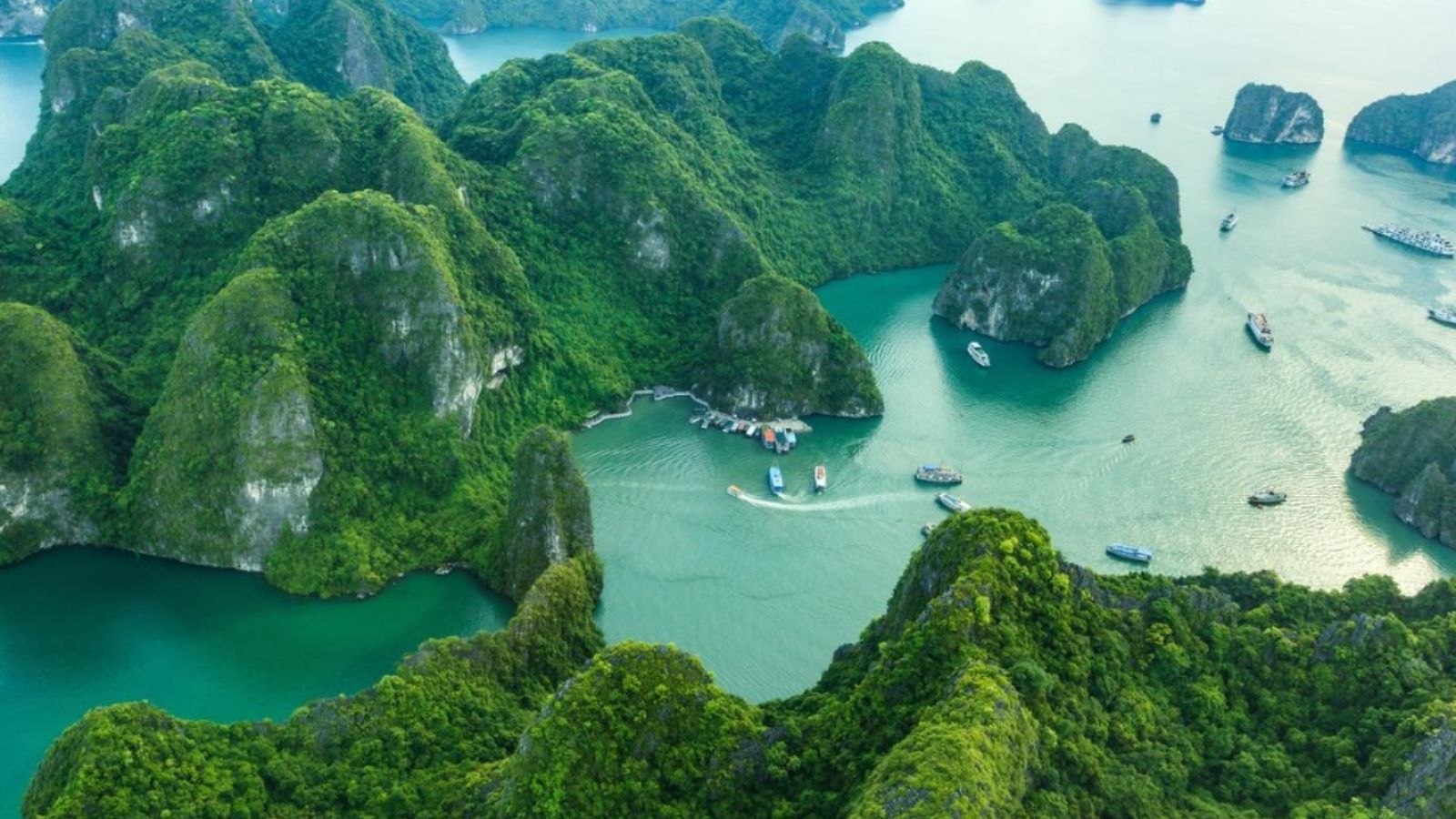 To&agrave;n cảnh Vịnh Hạ Long. Ảnh: Sưu tầm