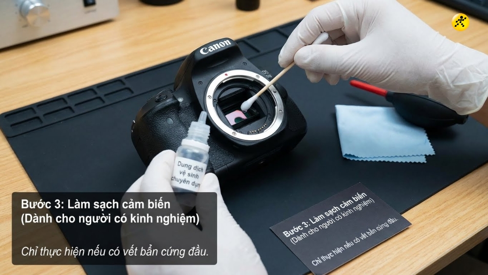 Lau cảm biến Lau cảm biến