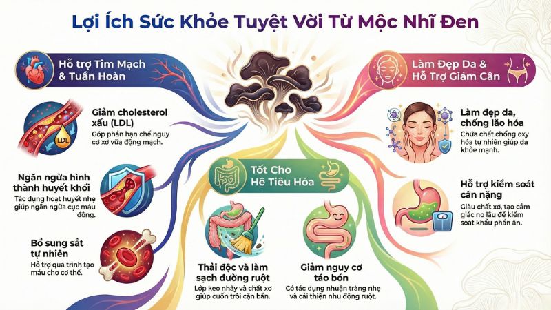 Infographic - Lợi &iacute;ch của mộc nhĩ đối với sức khoẻ