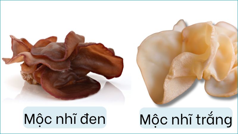 C&oacute; hai loại mộc nhĩ phổ biến: mộc nhĩ  đen v&agrave; mộc nhĩ trắng