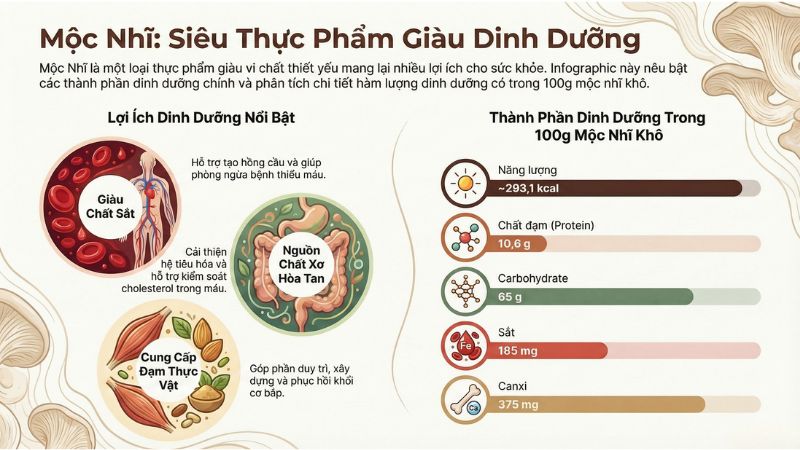 Mộc nhĩ rất gi&agrave;u vi chất, tốt cho sức khoẻ