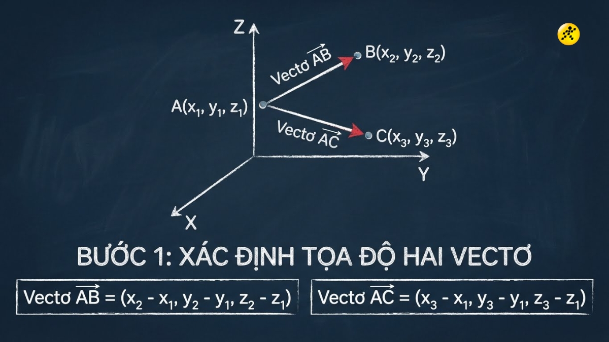 X&aacute;c định tọa độ của 2 vector