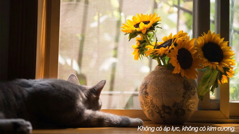 Kết hợp hoa lá, nhân vật cute và chữ nhẹ nhàng tạo không gian desktop hài hòa, dễ nhìn