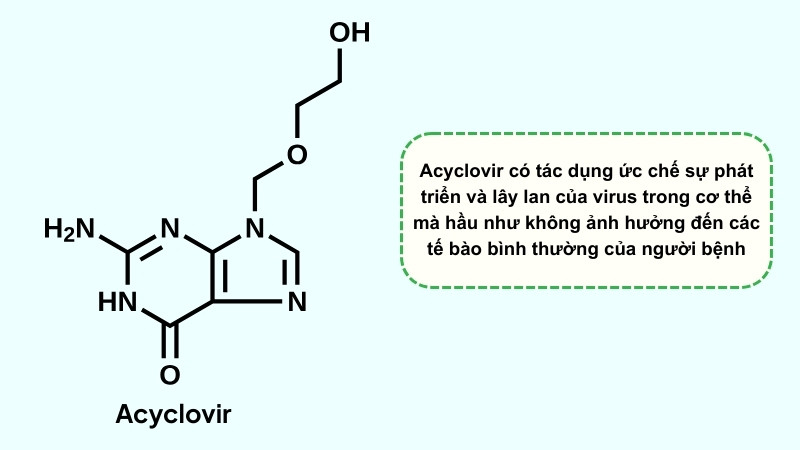 Acyclovir giúp ức chế sự phát triển và lây lan của virus trong cơ thể