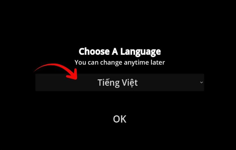 Chọn tiếng Việt để có phụ đề khi chơi game, giúp bạn hiểu rõ nội dung hơn