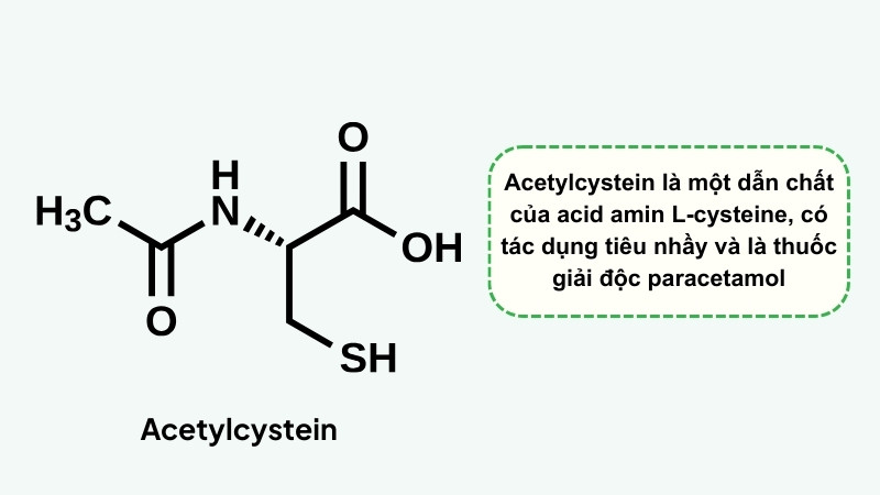 Acetylcystein là một dẫn chất của acid amin L-cystein Acetylcystein là một dẫn chất của acid amin L-cystein