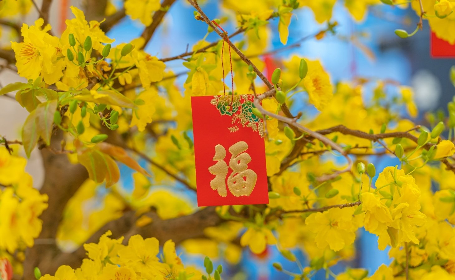 Thơ chúc Tết cha mẹ