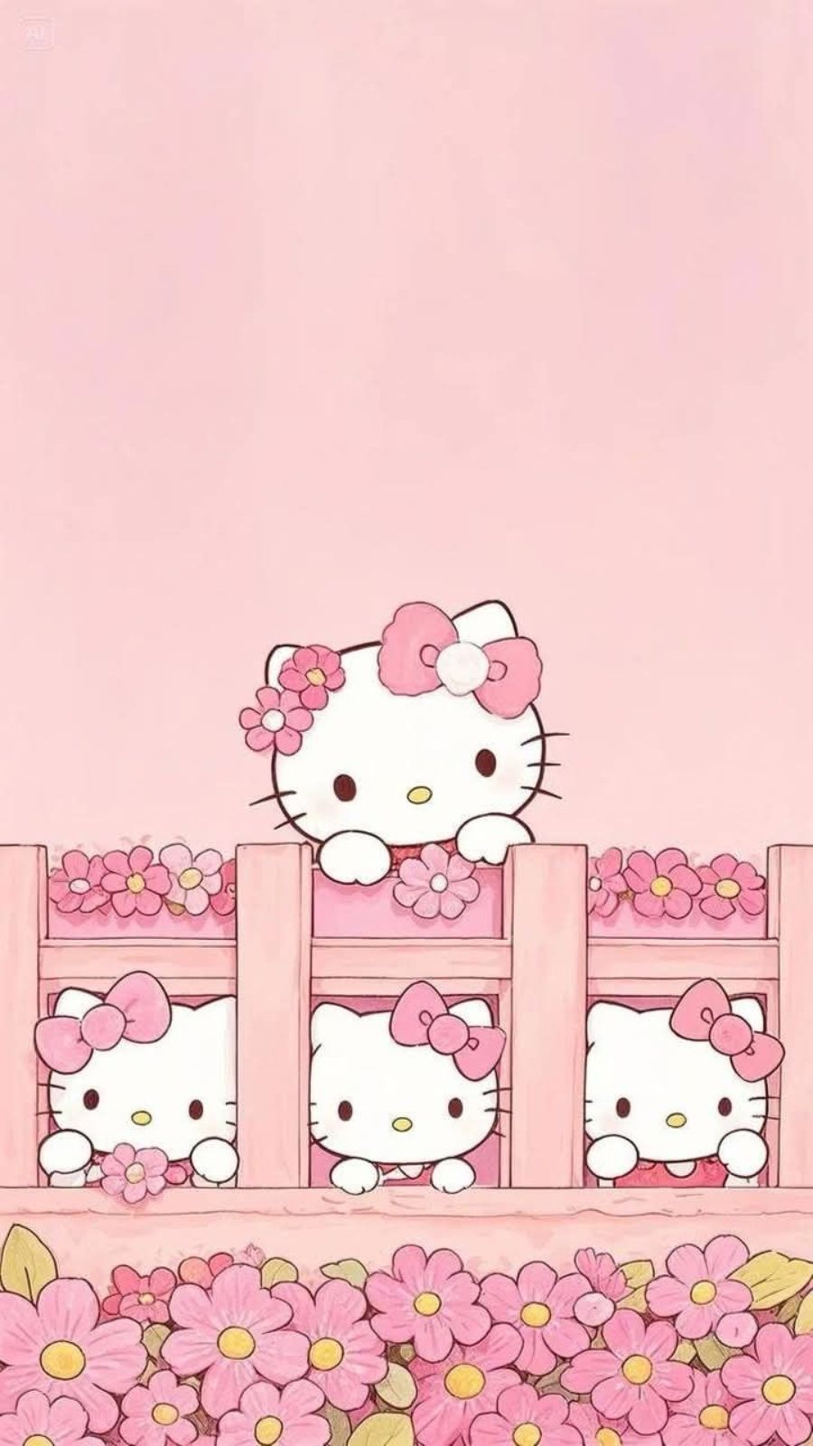H&igrave;nh nền Hello Kitty đứng sau h&agrave;ng r&agrave;o hoa hồng