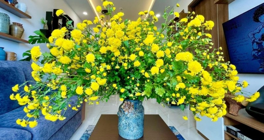 Mẹo cắm hoa tươi lâu, bền đẹp