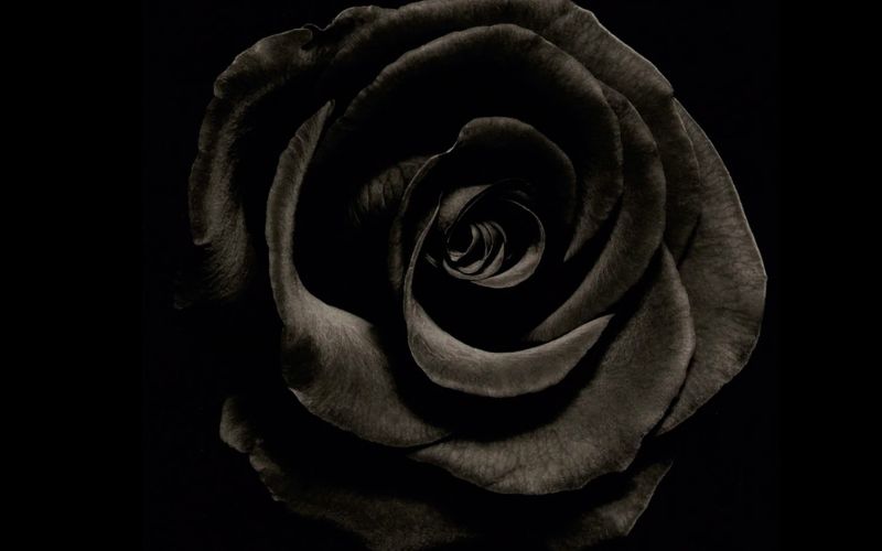 Hình nền 4K giúp không gian làm việc trên máy tính trở nên chuyên nghiệp