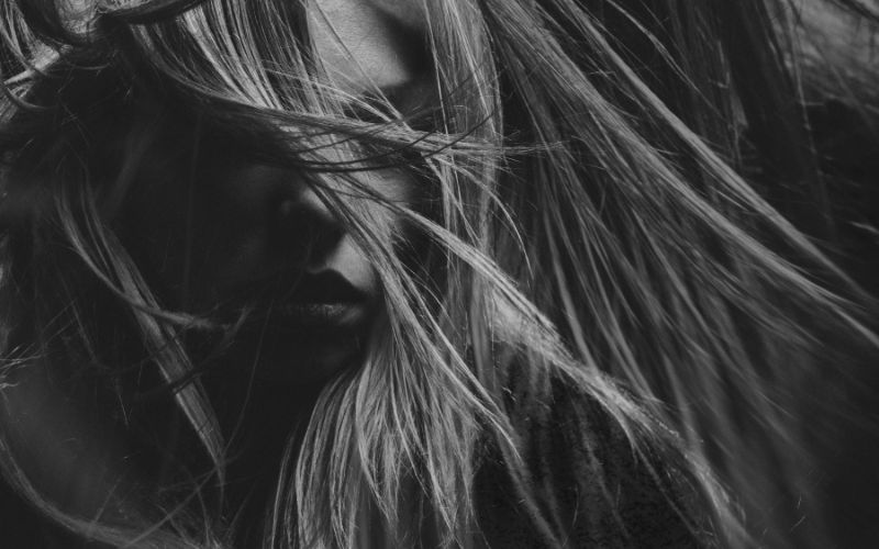 Hoa cỏ, động vật nổi bật rực rỡ trên phông nền tối, ảnh chân dung nghệ thuật độc đáo