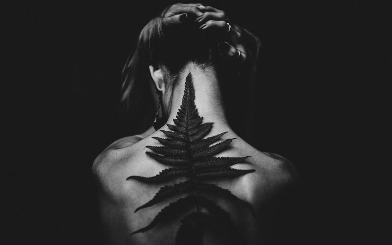 Hoa cỏ, động vật nổi bật rực rỡ trên phông nền tối, ảnh chân dung nghệ thuật độc đáo