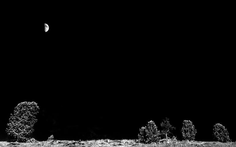 Vẻ đẹp kỳ vĩ của không gian trên nền đen sâu thẳm