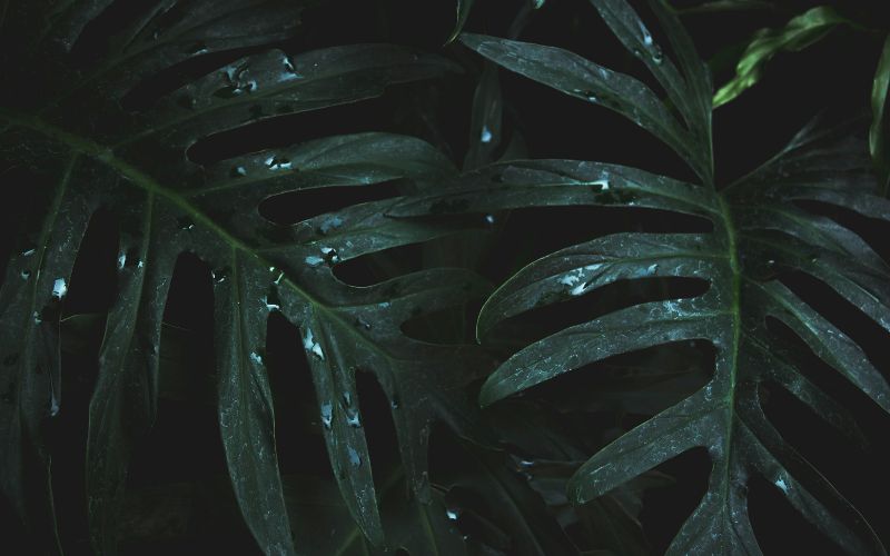 Vẻ đẹp kỳ vĩ của không gian trên nền đen sâu thẳm