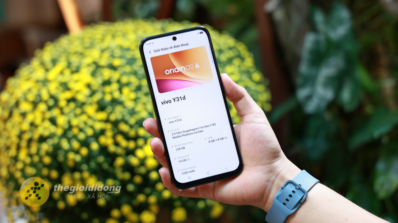 Trên Tay Vivo Y31D: Thiết Kế Trẻ Trung, Chip Snapdragon 6S Gen 2 Và Pin Ấn Tượng 7.200 Mah