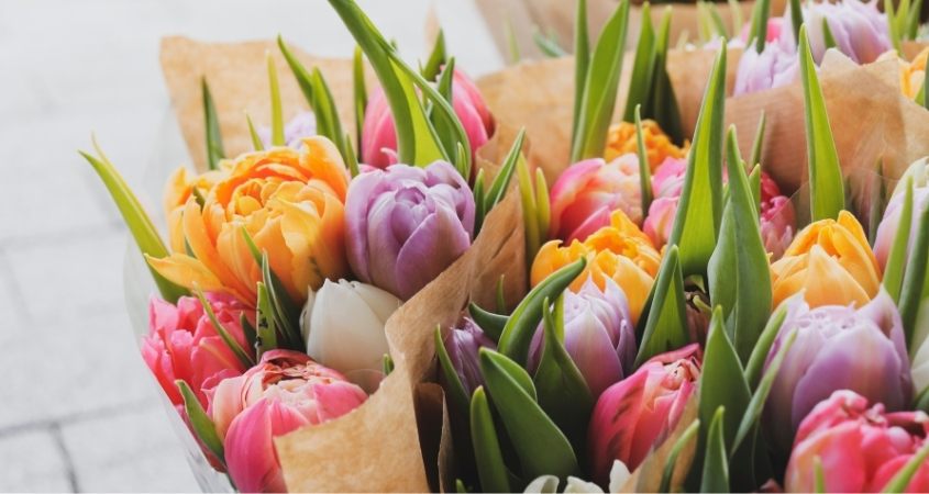 Tặng 11 bông hoa tulip tượng trưng cho tình yêu duy nhất, sự gắn bó lâu dài