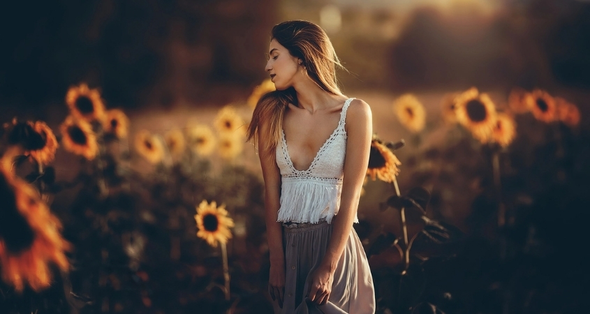 Hoa hướng dương hợp với mệnh Kim, Mộc, Hoả, Thổ