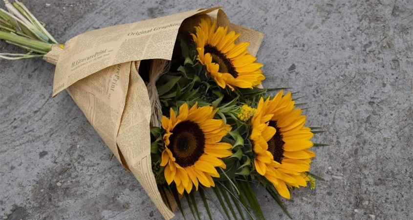 Tặng hoa hướng dương vào dịp 20/11 để tri ân thầy cô