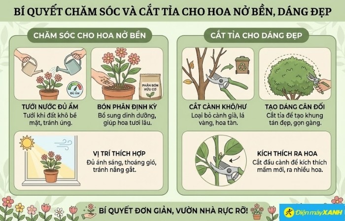 Bí quyết Chăm sóc và Cắt tỉa cho Hoa Nở Bền, Dáng Đẹp