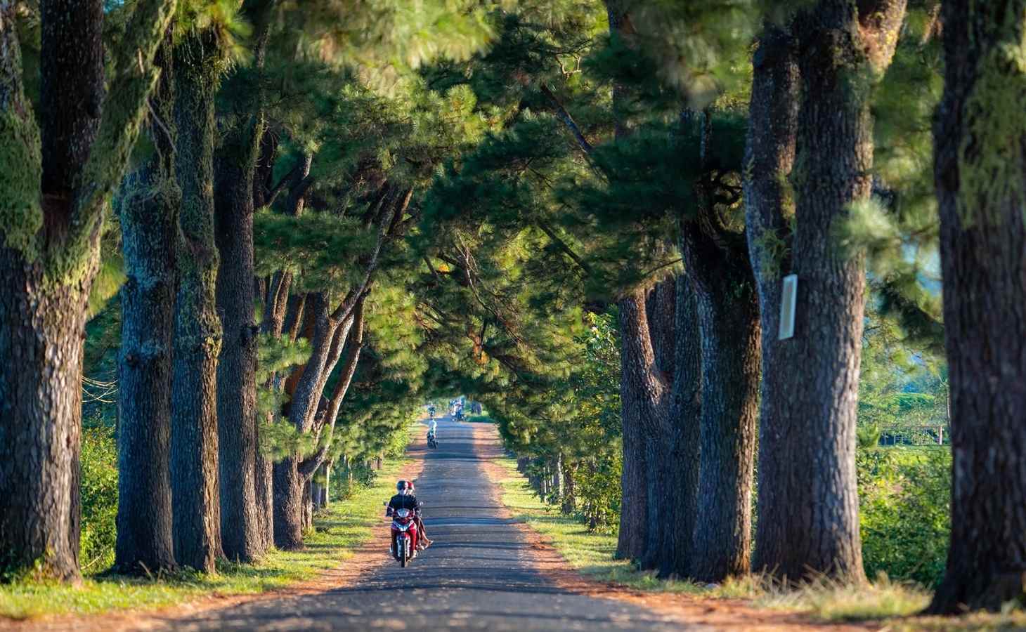 Địa điểm du lịch Tết - Gia Lai