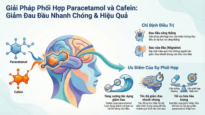 Kết hợp giữa paracetamol v&agrave; cafein gi&uacute;p giảm đau đầu nhanh ch&oacute;ng v&agrave; hiệu quả