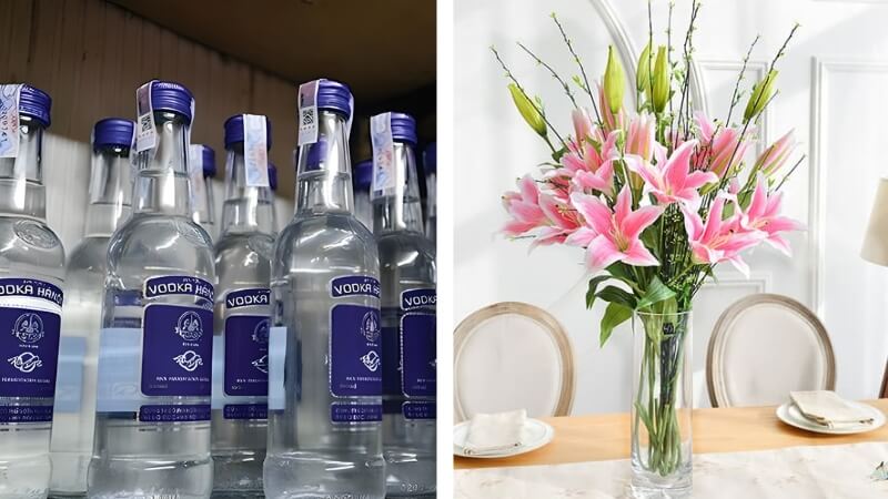 Rượu vodka giúp làm chậm quá trình sinh trưởng của hoa