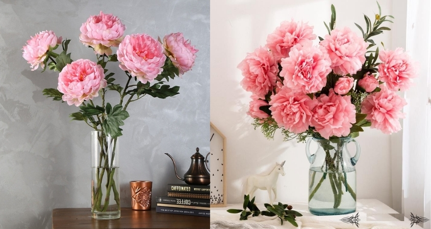 Hoa mẫu đơn giúp thu hút tài lộc, vượng khí