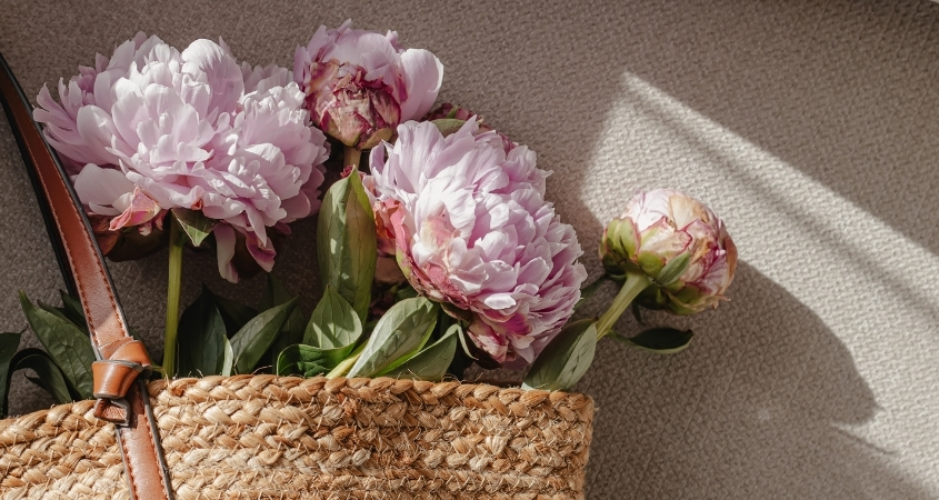 Hoa mẫu đơn mang ý nghĩa về sự bình an