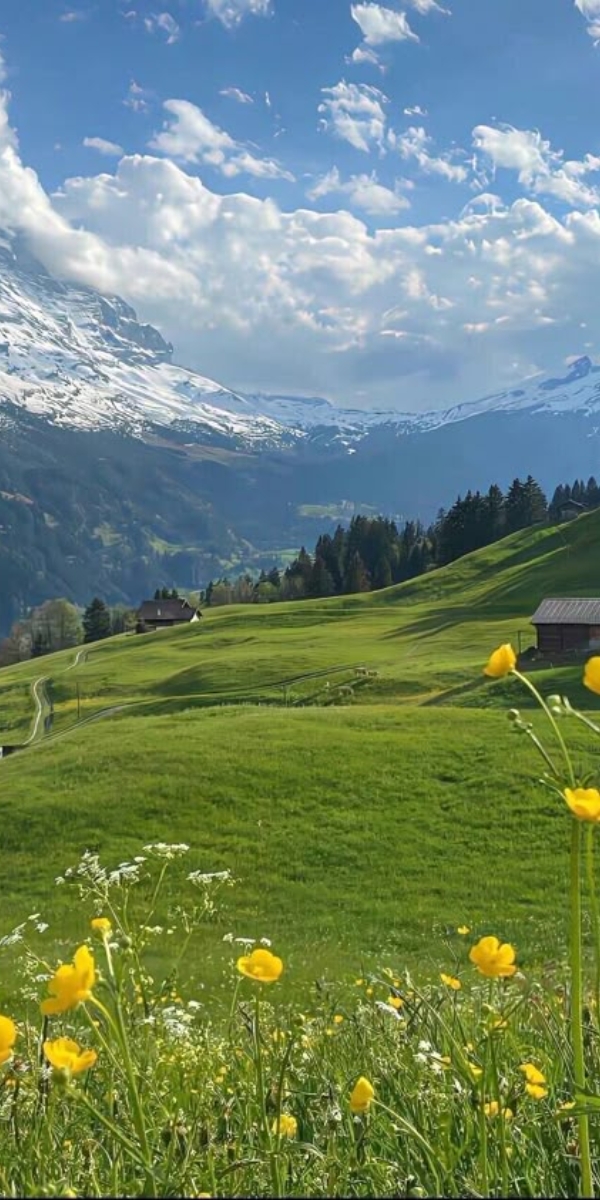 Hình ảnh 4K siêu nét giúp phong cảnh, thiên nhiên hay kiến trúc hiển thị trọn vẹn trên màn hình Super Retina XDR của iPhone đời mới