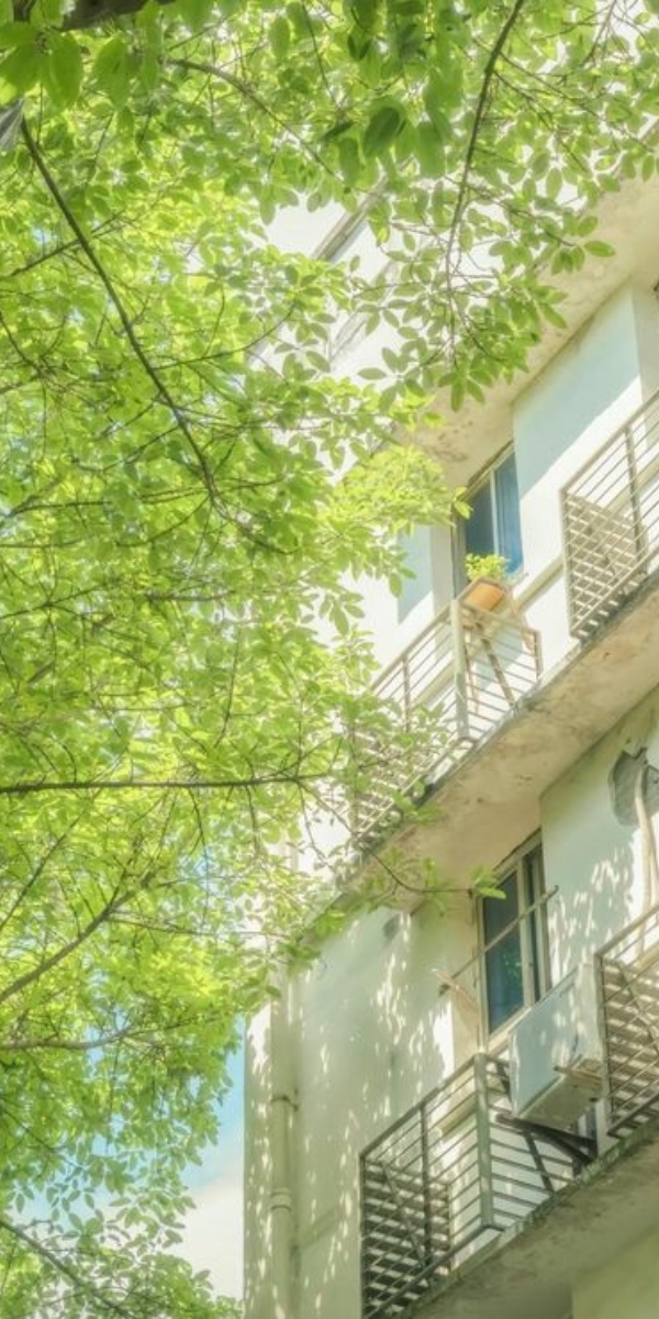 Hình ảnh 4K siêu nét giúp phong cảnh, thiên nhiên hay kiến trúc hiển thị trọn vẹn trên màn hình Super Retina XDR của iPhone đời mới