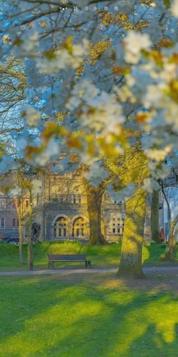 Hình ảnh 4K siêu nét giúp phong cảnh, thiên nhiên hay kiến trúc hiển thị trọn vẹn trên màn hình Super Retina XDR của iPhone đời mới