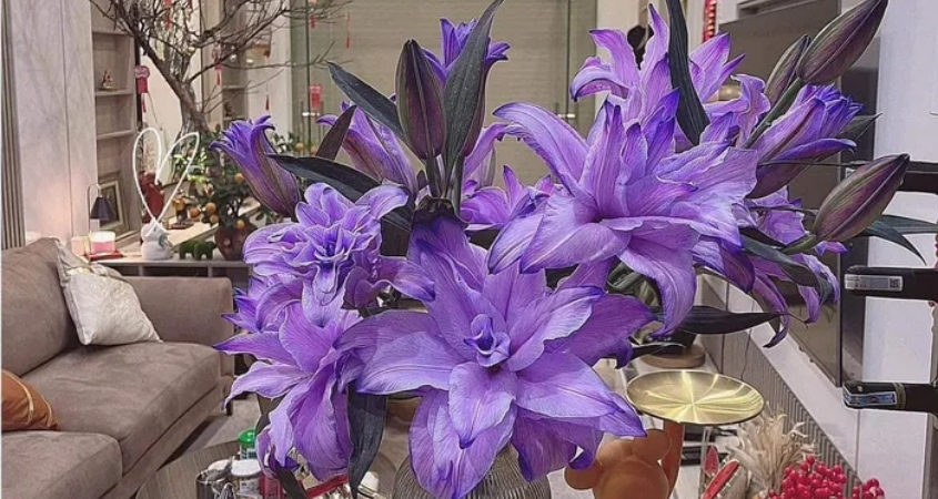 Hoa ly tím mang ý nghĩa của sự thuỷ chung, quý phái