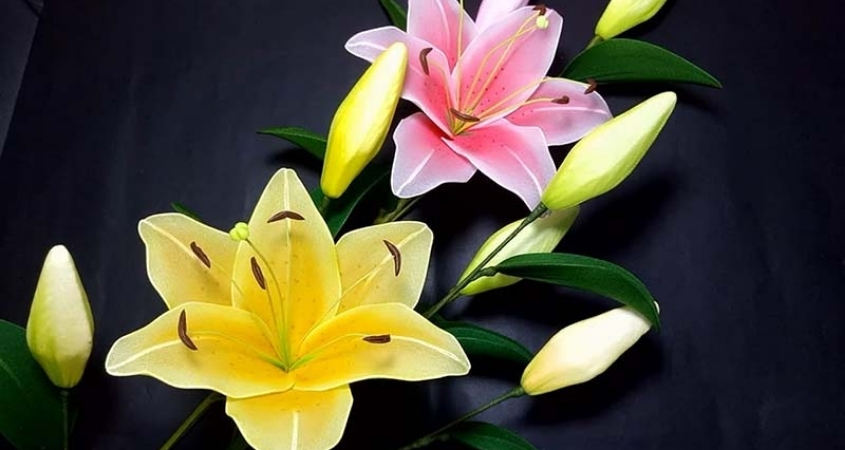 Hình nền máy tính hoa ly 5