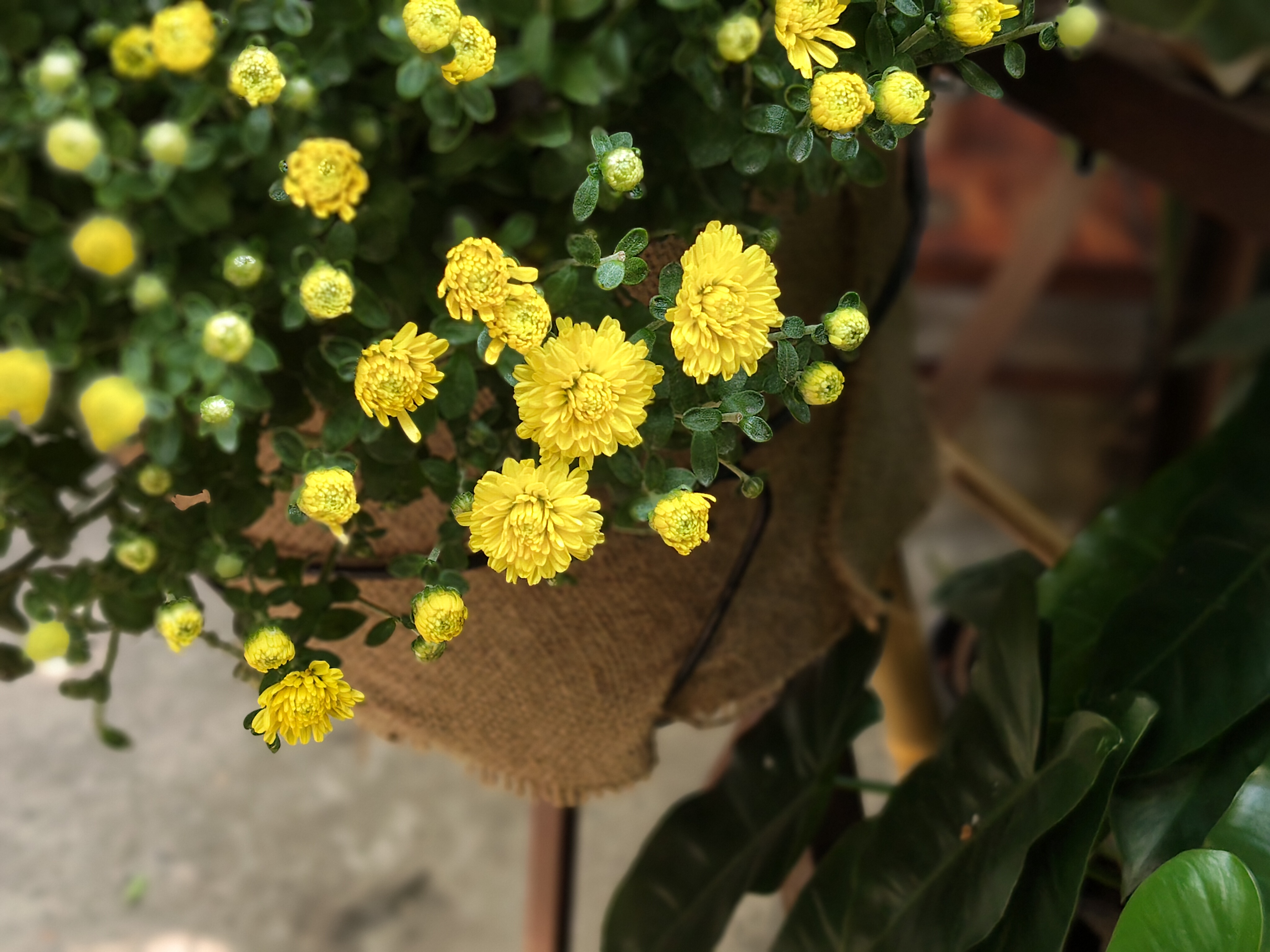 Đánh Giá Oppo Reno15 F 5G: Sự Cân Bằng Giữa Pin Trâu, Camera Tốt Và Thiết Kế Chắc Chắn