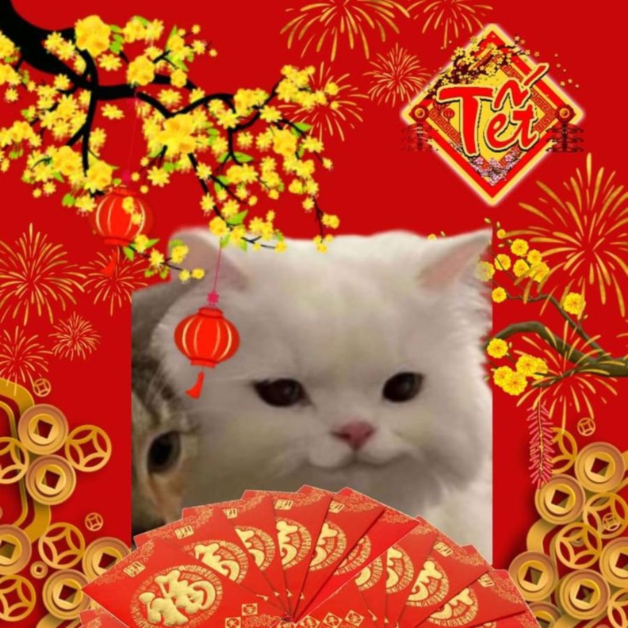 Avatar Tết meme hài hước - 06 Avatar Tết meme hài hước - 06