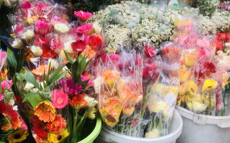 Ý nghĩa cúng hoa dâng ông Công ông Táo