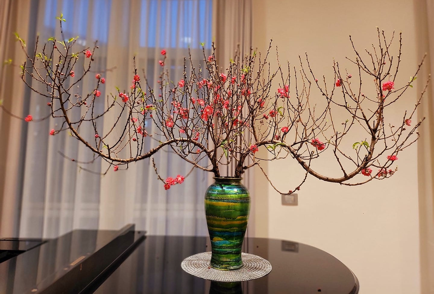 Hoa đào là biểu tượng đặc trưng của mùa xuân và Tết cổ truyền